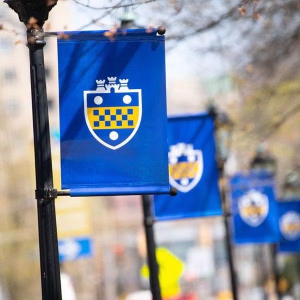 pitt flags