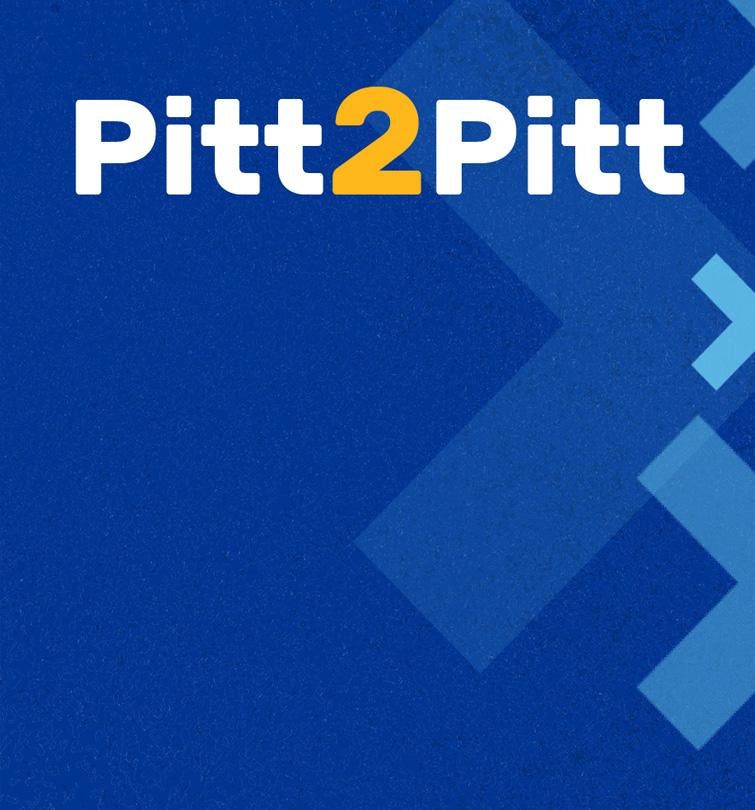 Pitt2Pitt materials