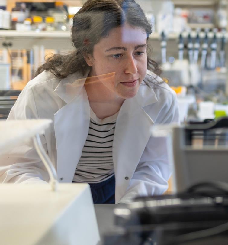 Student working in lab 